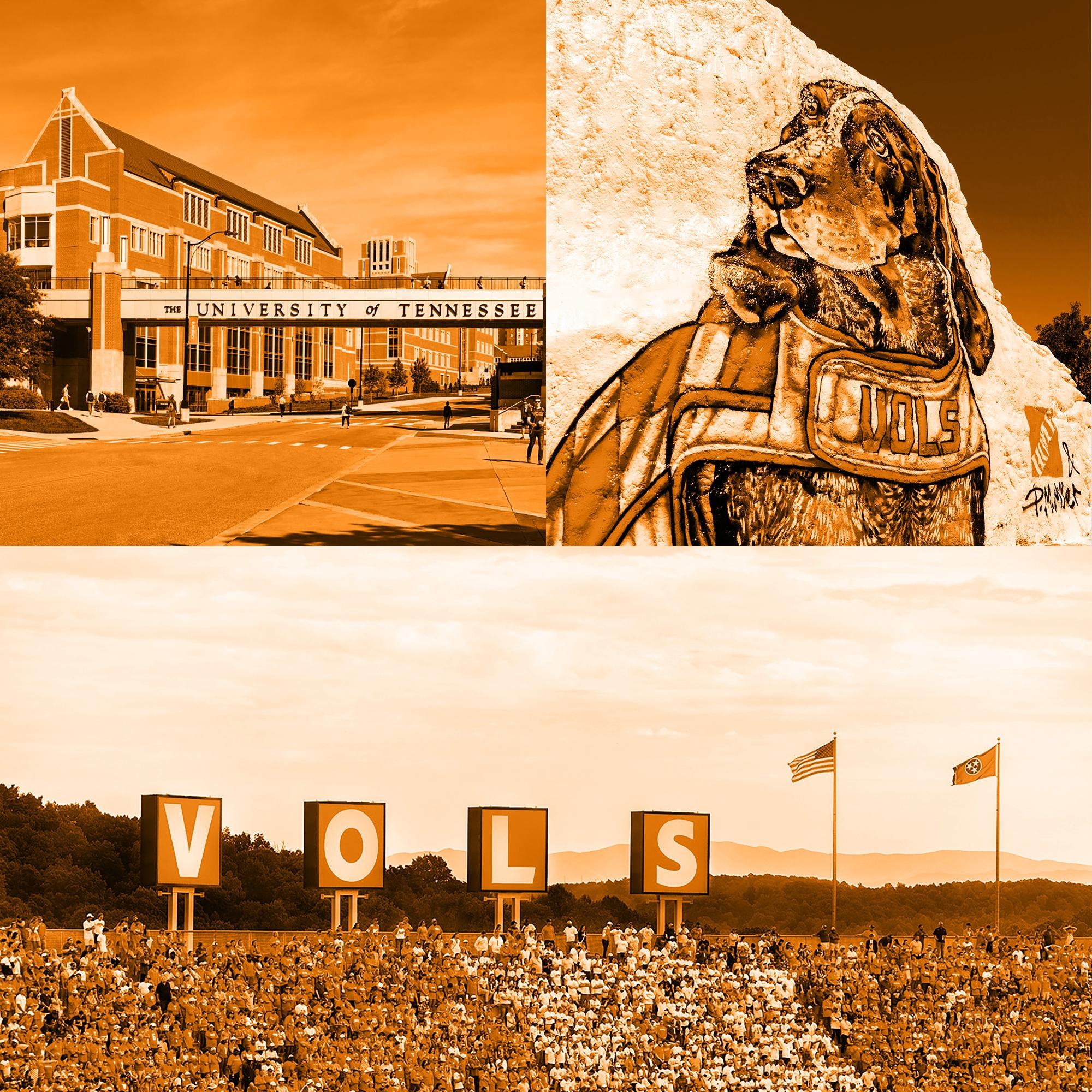 about us image collage