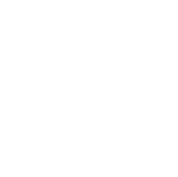 instagram icon button