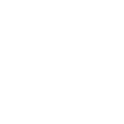 twitter icon button