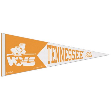 Vault logo Pennant