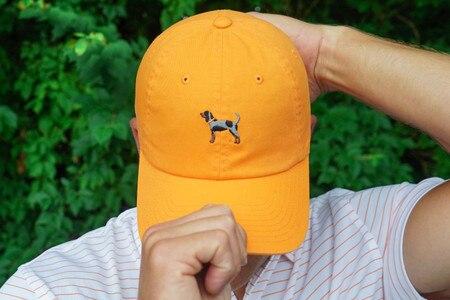 bluetick hat