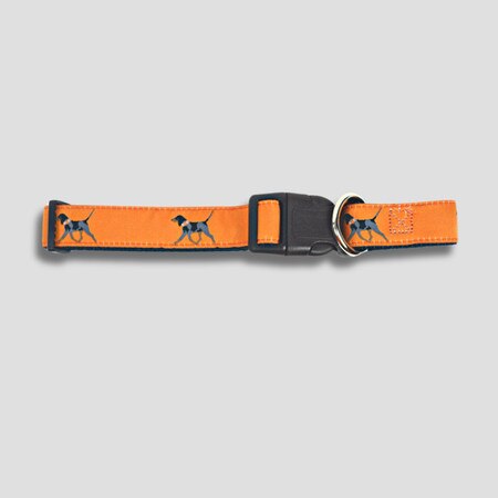 dog collar hound