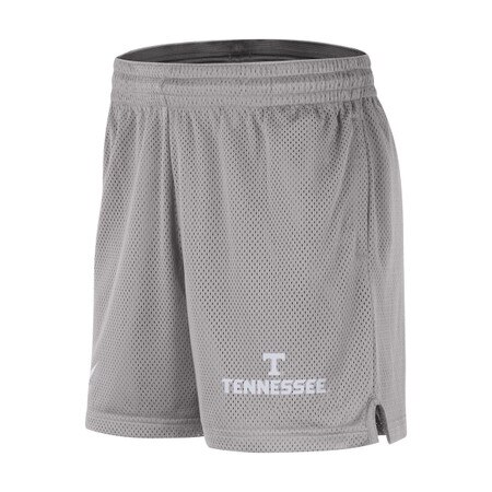 Nike Dri-FIT Shorts Wordmark grey