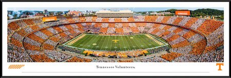 Framed Panorama Print