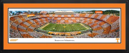 Deluxe Framed Panorama
