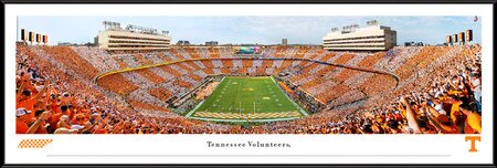 Framed Panorama Print