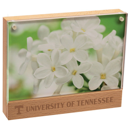 Beechwood Picture Frame