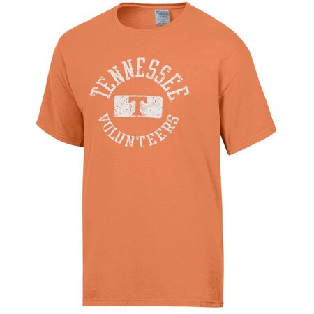 Comfort Wash Tennessee Circle Tee
