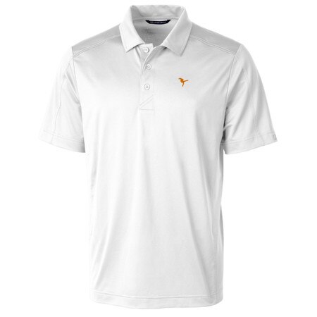 Pride of the Southland polo