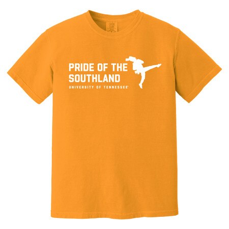 Comfort Colors Pride of the Southla