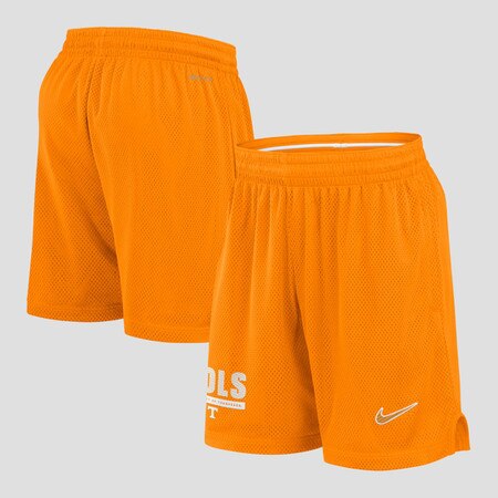 Dri-Fit Shorts Mesh Sideline