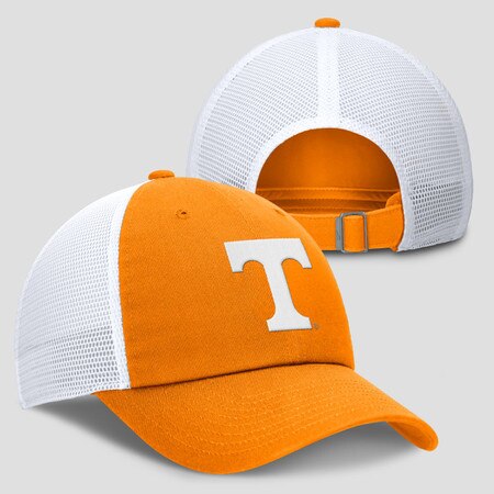 Unstructured Mesh Trucker