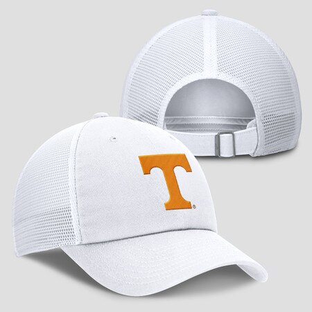 Unstructured Mesh Trucker