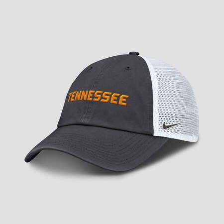 Club TN Wordmark Unstructured Mesh