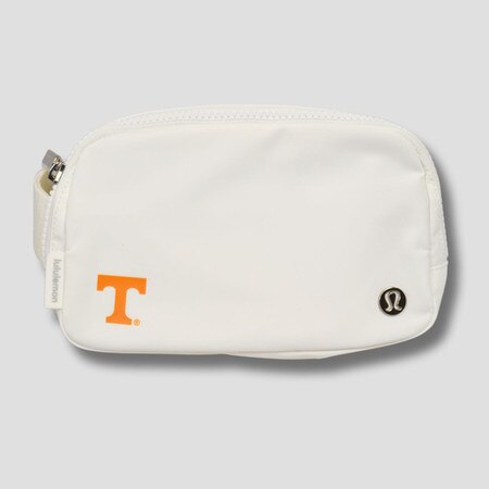 Everywhere Belt Bag