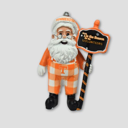Santa Ornament