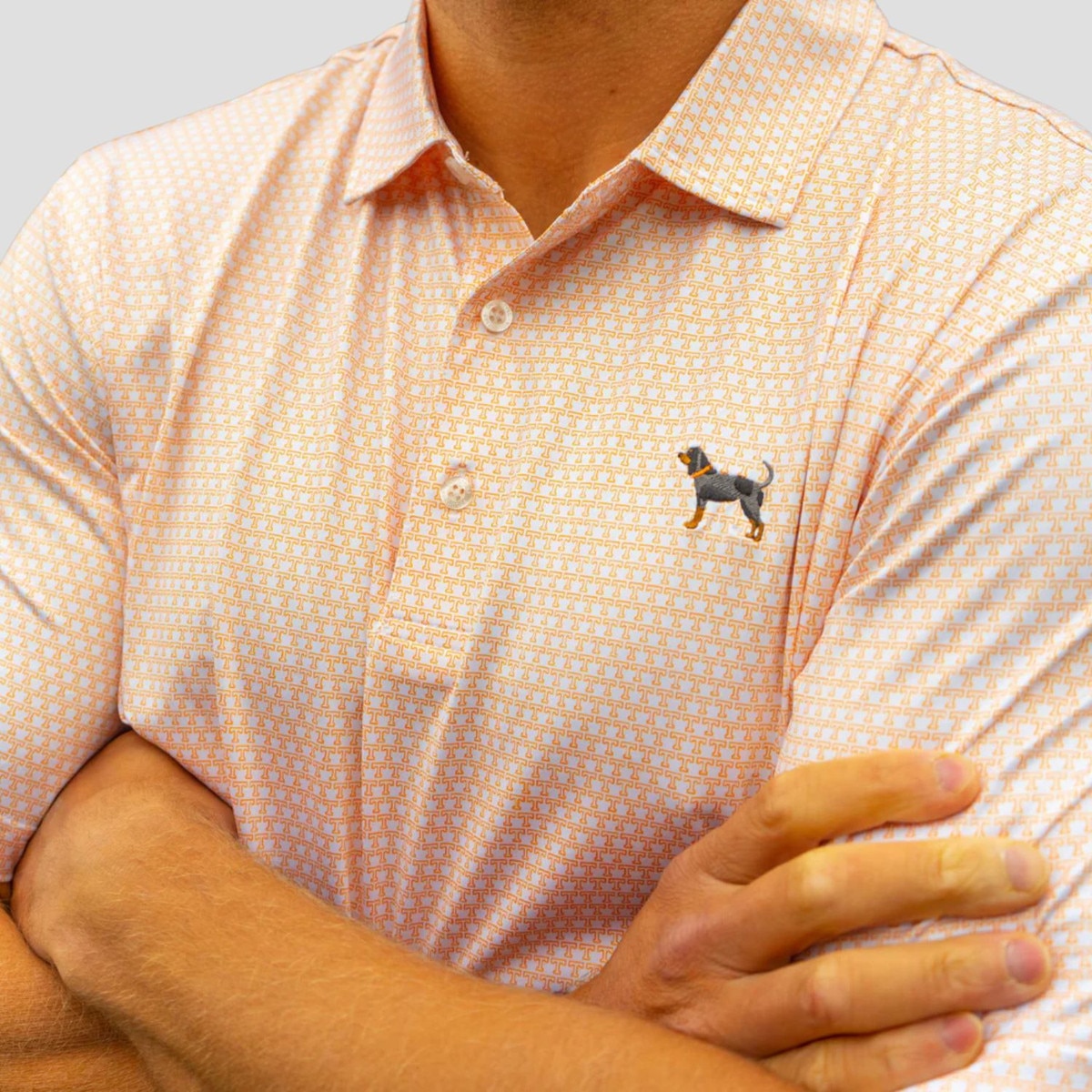 Bluetick All T Polo