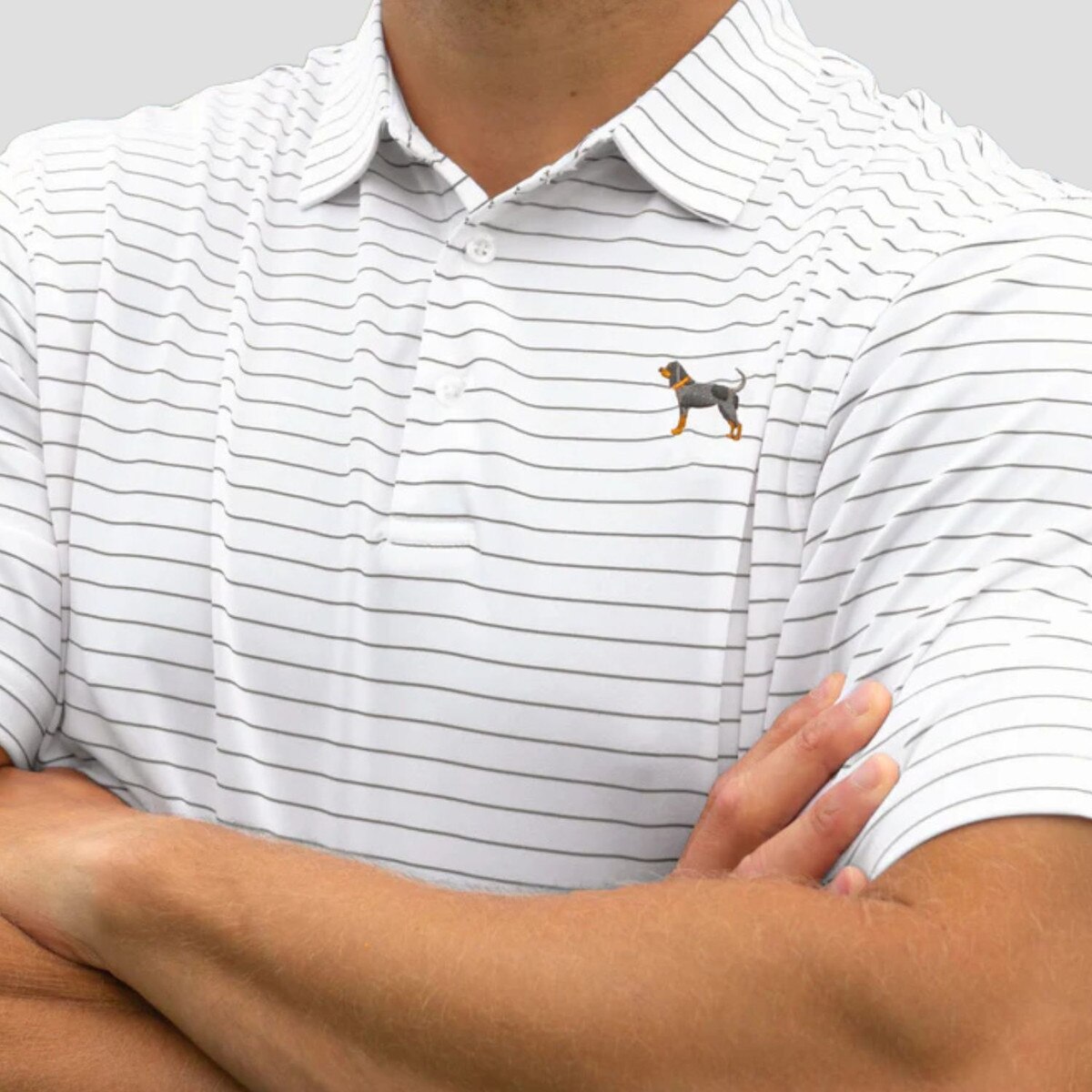 Bluetick Club Stripe Polo