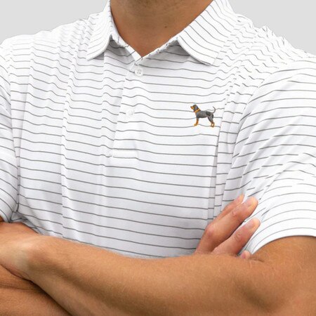 Bluetick Club Stripe Polo