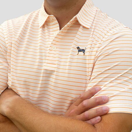 Bluetick Club Stripe Polo