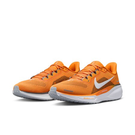 Nike Zoom Pegasus 41