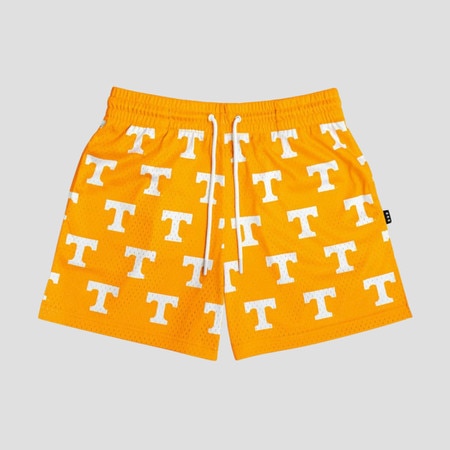 All Over Power T Mesh Shorts