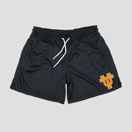 Interlocking UT Mesh Short