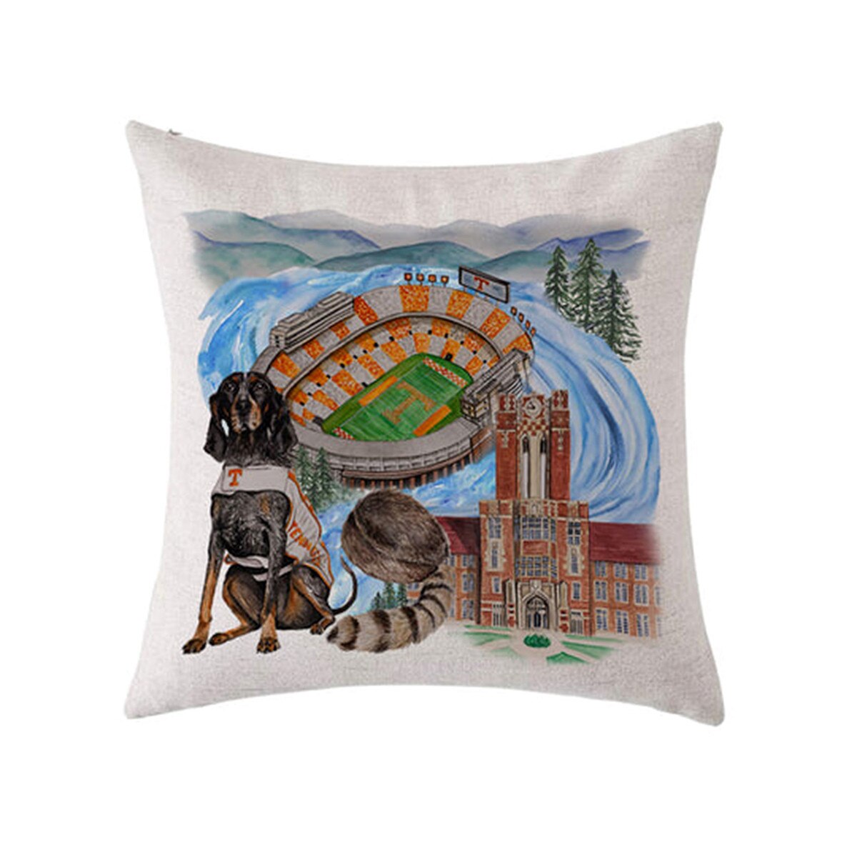 Watercolor Campus Pillow