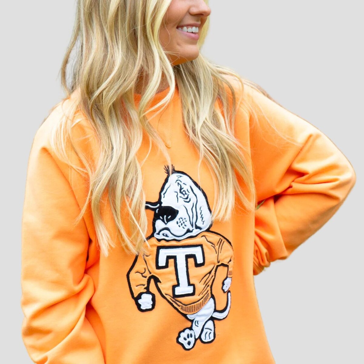Volunteer Traditions Smokey Appliqu