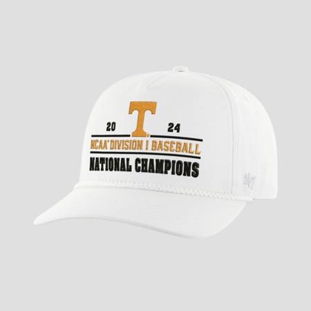 2024 Baseball Champions hat