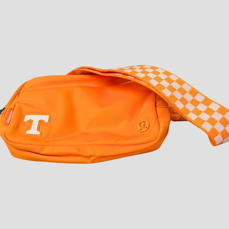 Everywhere belt bag