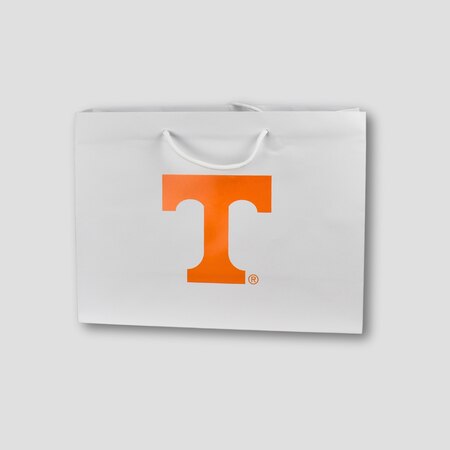 Power T Gift Bag