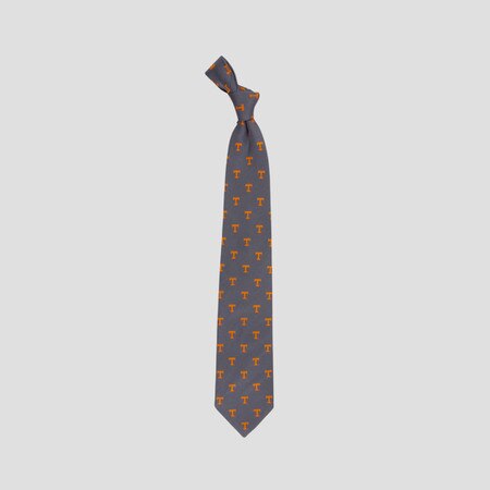 Power T Silk Tie by Eagles Wings