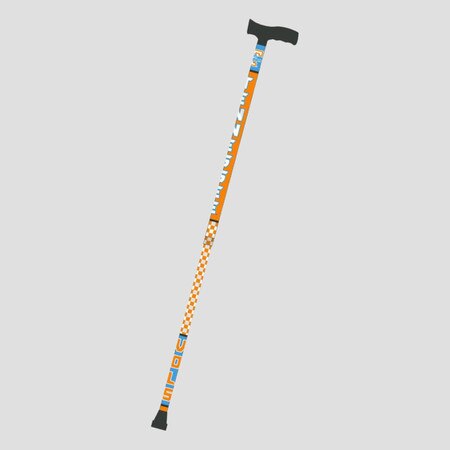 Tennessee Lady Vol Cane
