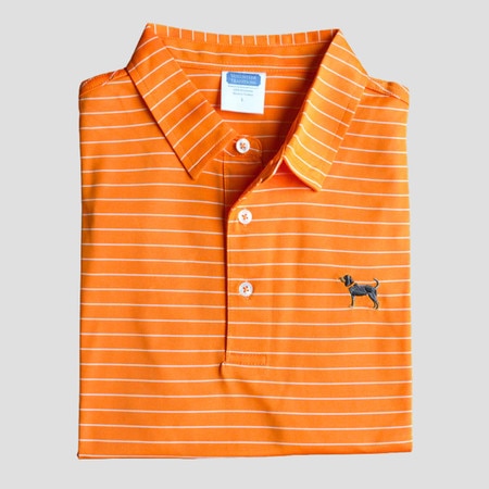 Bluetick Club Stripe Polo