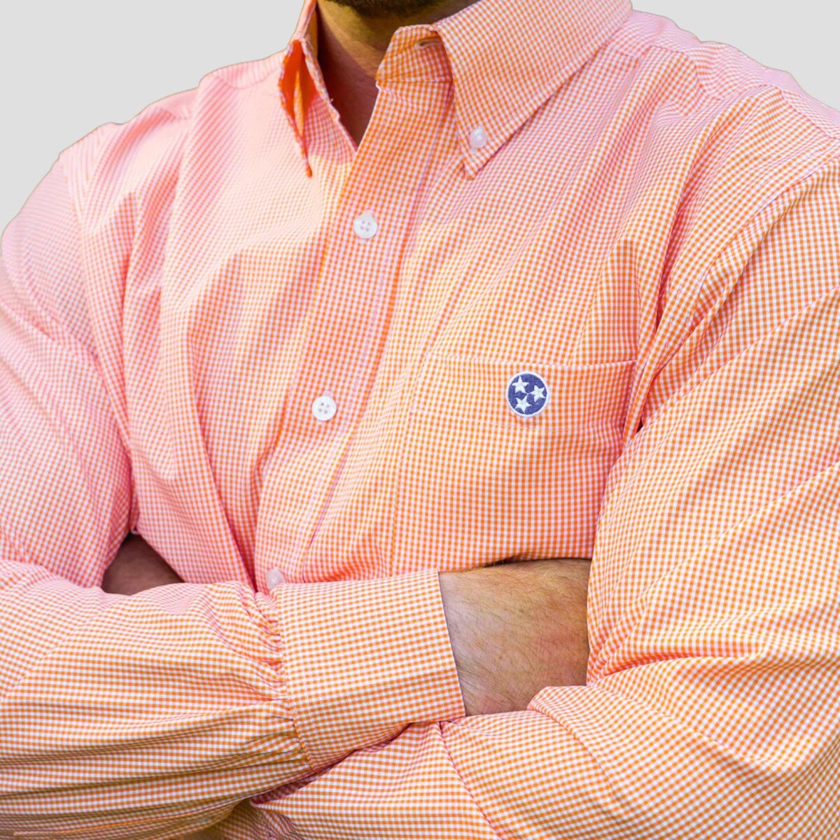 Micro Gingham Button down