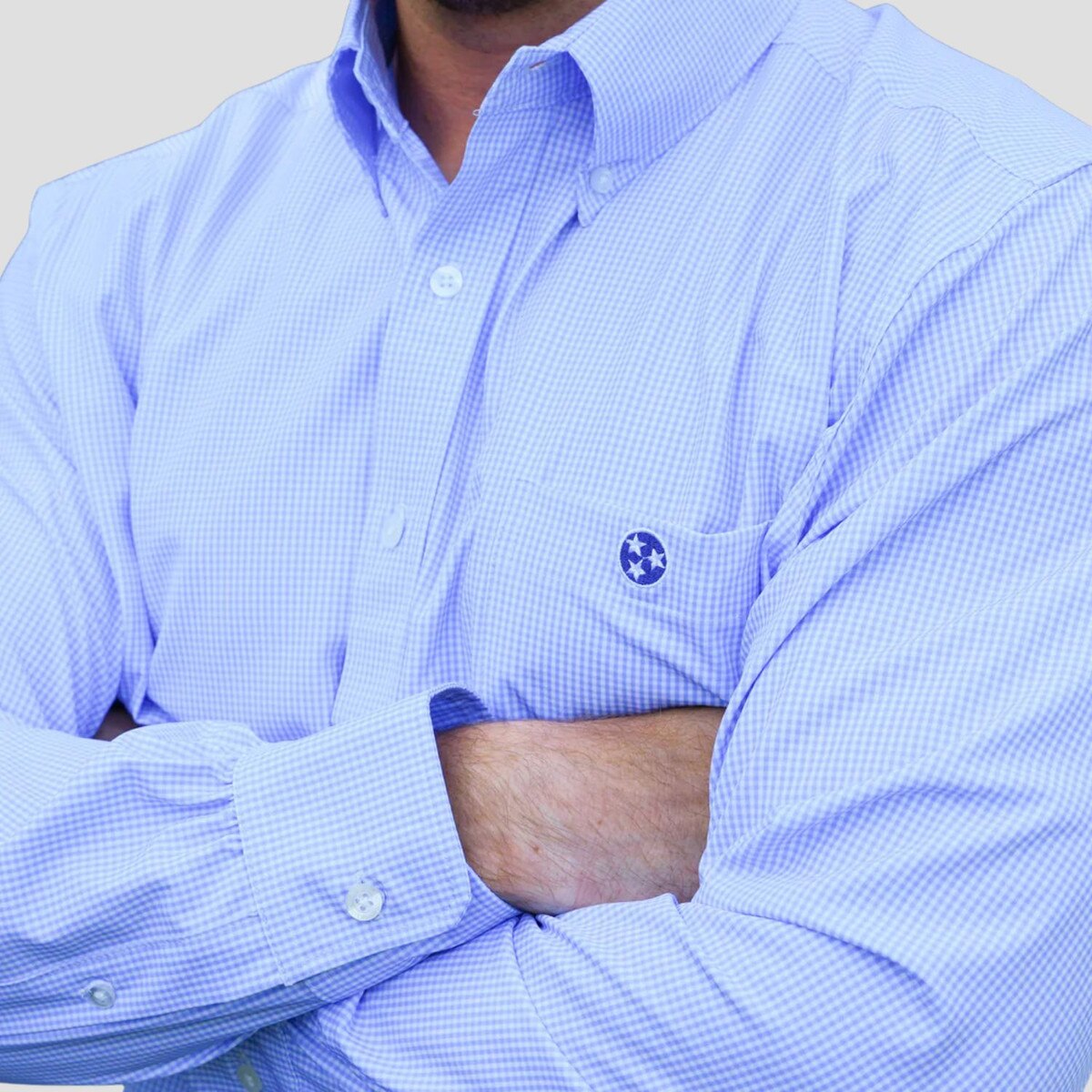 Micro Gingham Button down