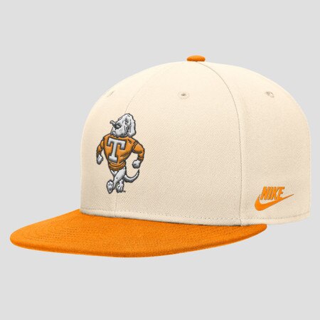 Nike Dri-Fit True Academic Fitted H