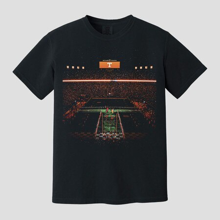 Comfort Colors Neyland at Night Tee