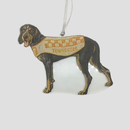 Smokey with Cape Ornament