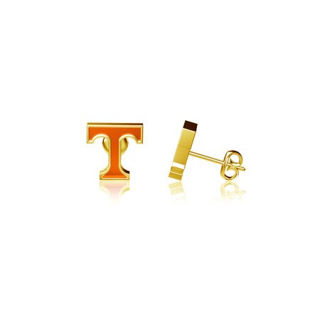 Gold Plated Enamel Post Earrings
