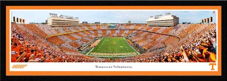Deluxe Framed Panorama Print