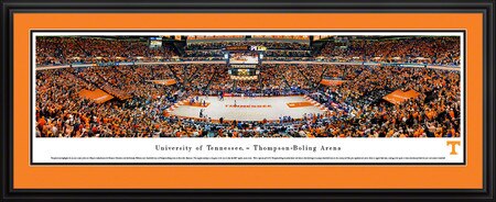 Basketball Framed Panorama Print