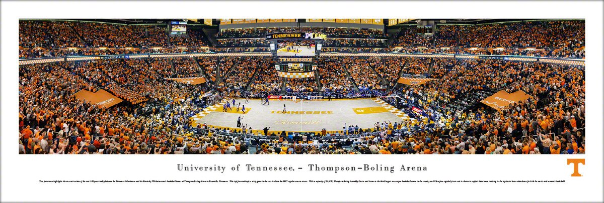 Panorama Basketball Print