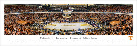 Panorama Basketball Print