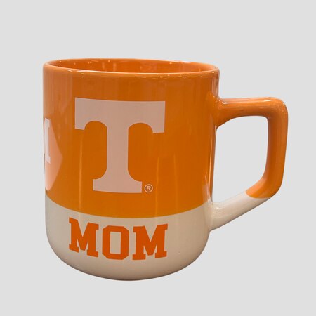 Team / Group: Tennessee-Mom, Tickle-College-of-Engineering